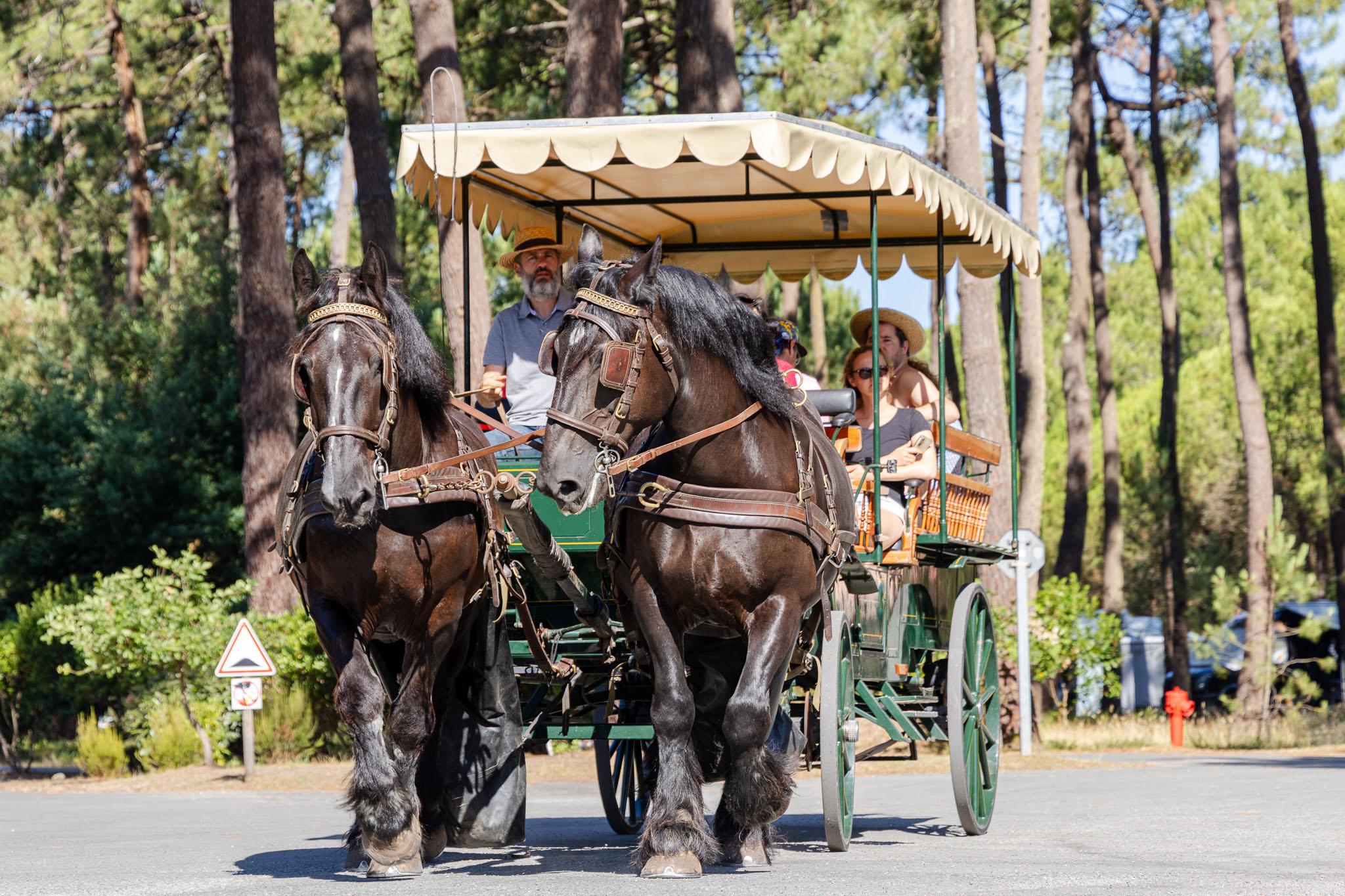 Calèche camping euronat