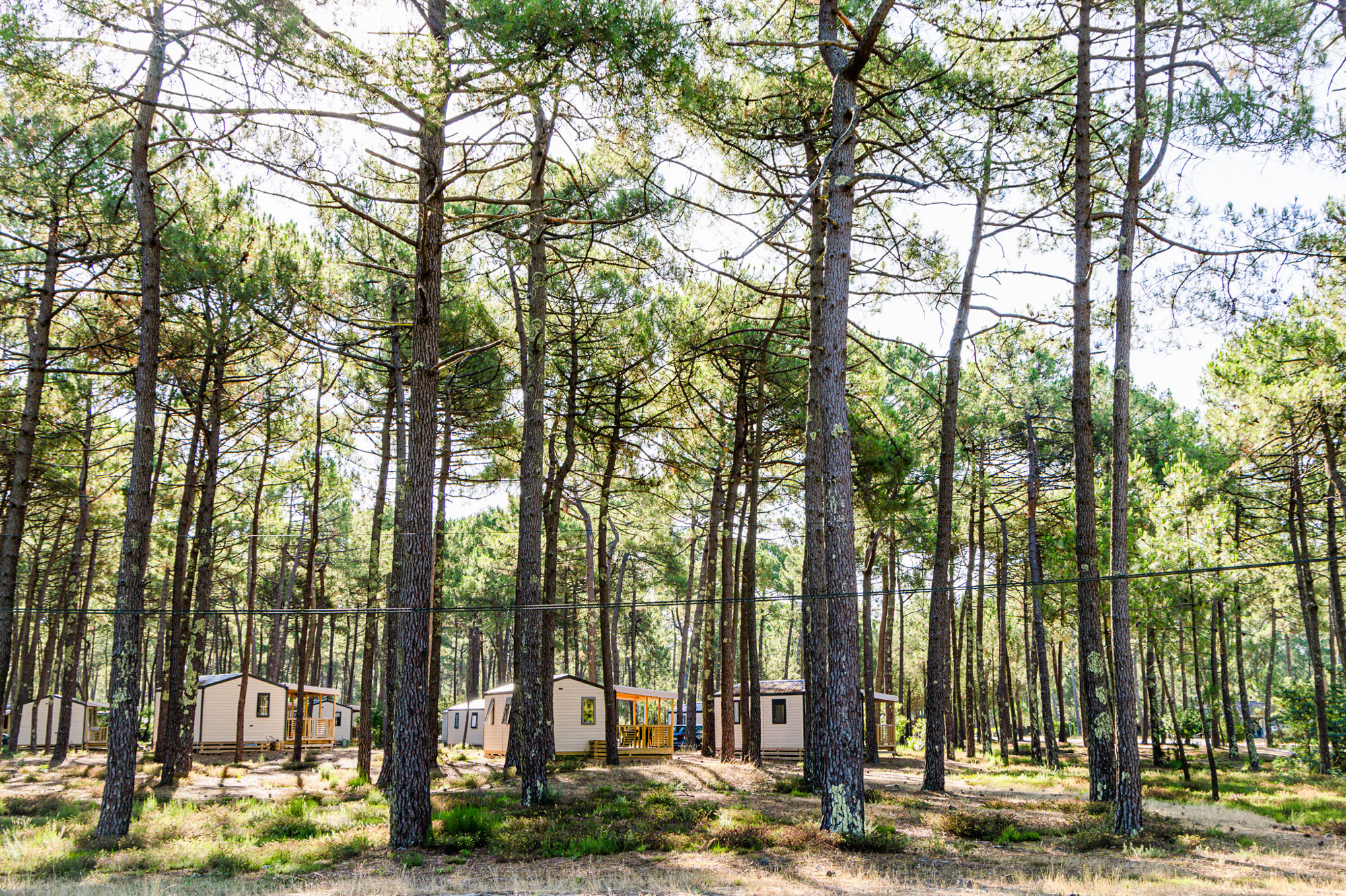 Camping Euronat foret