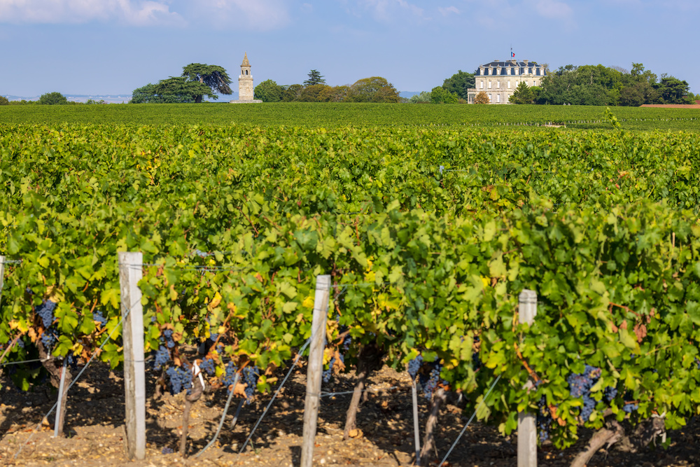 Chateau la Tour de By Medoc (1)