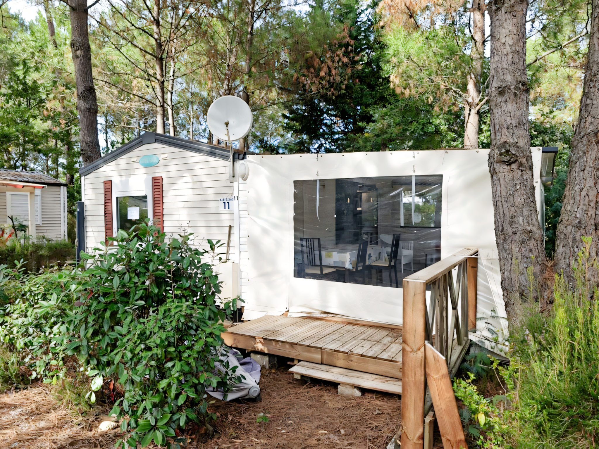 Euronatimmo 11 Albizzias