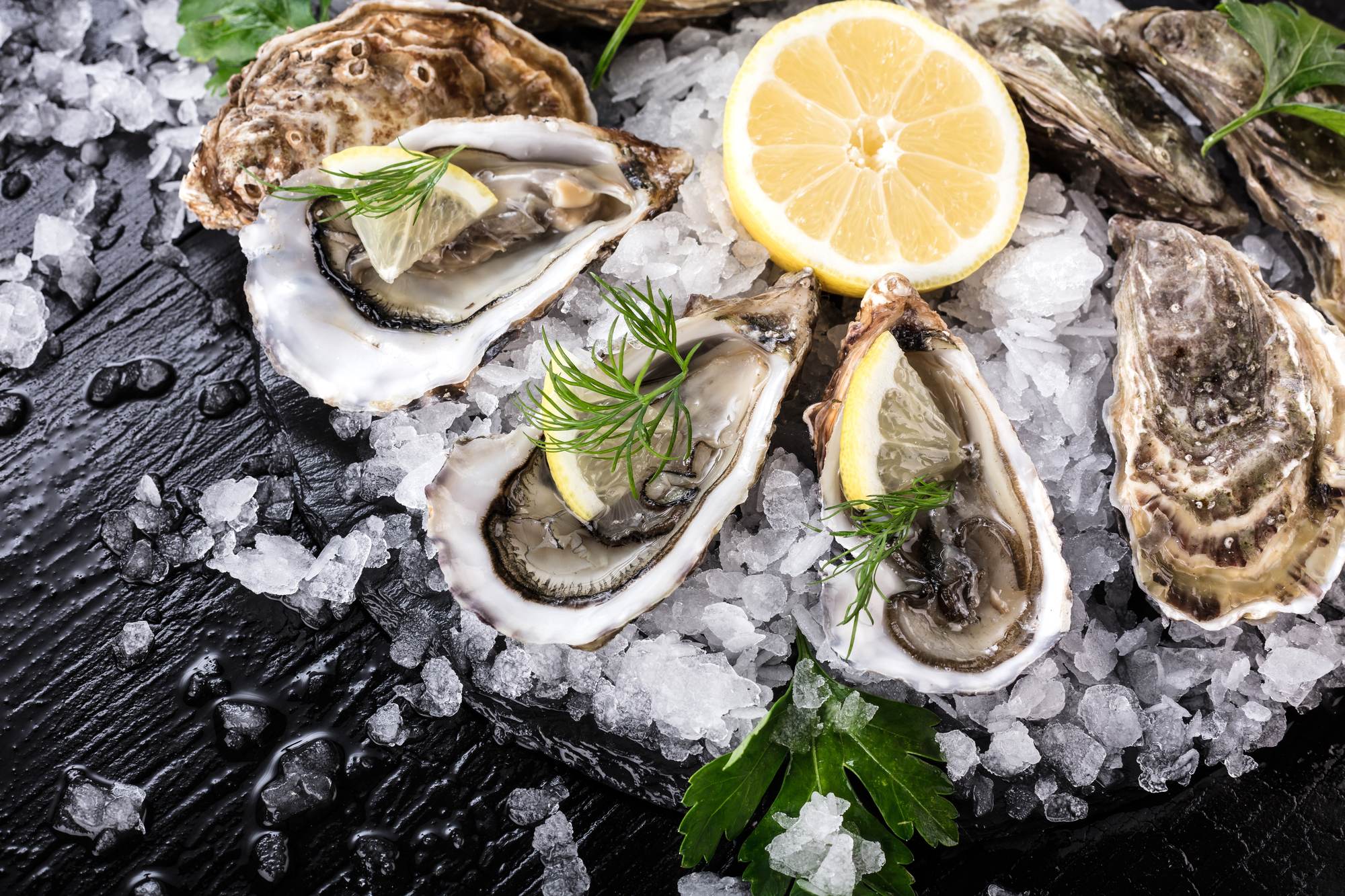 Oesters uit de Médoc