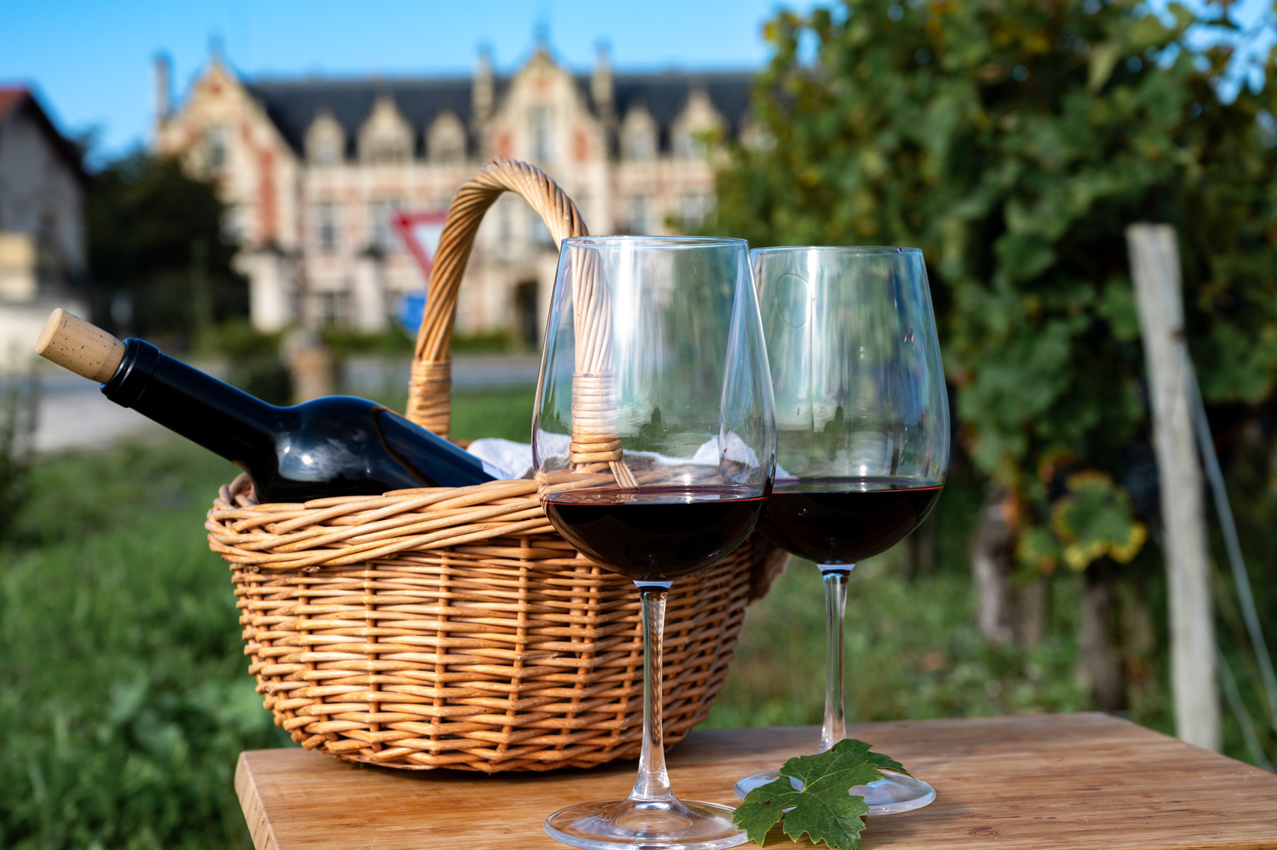 route des vins medoc