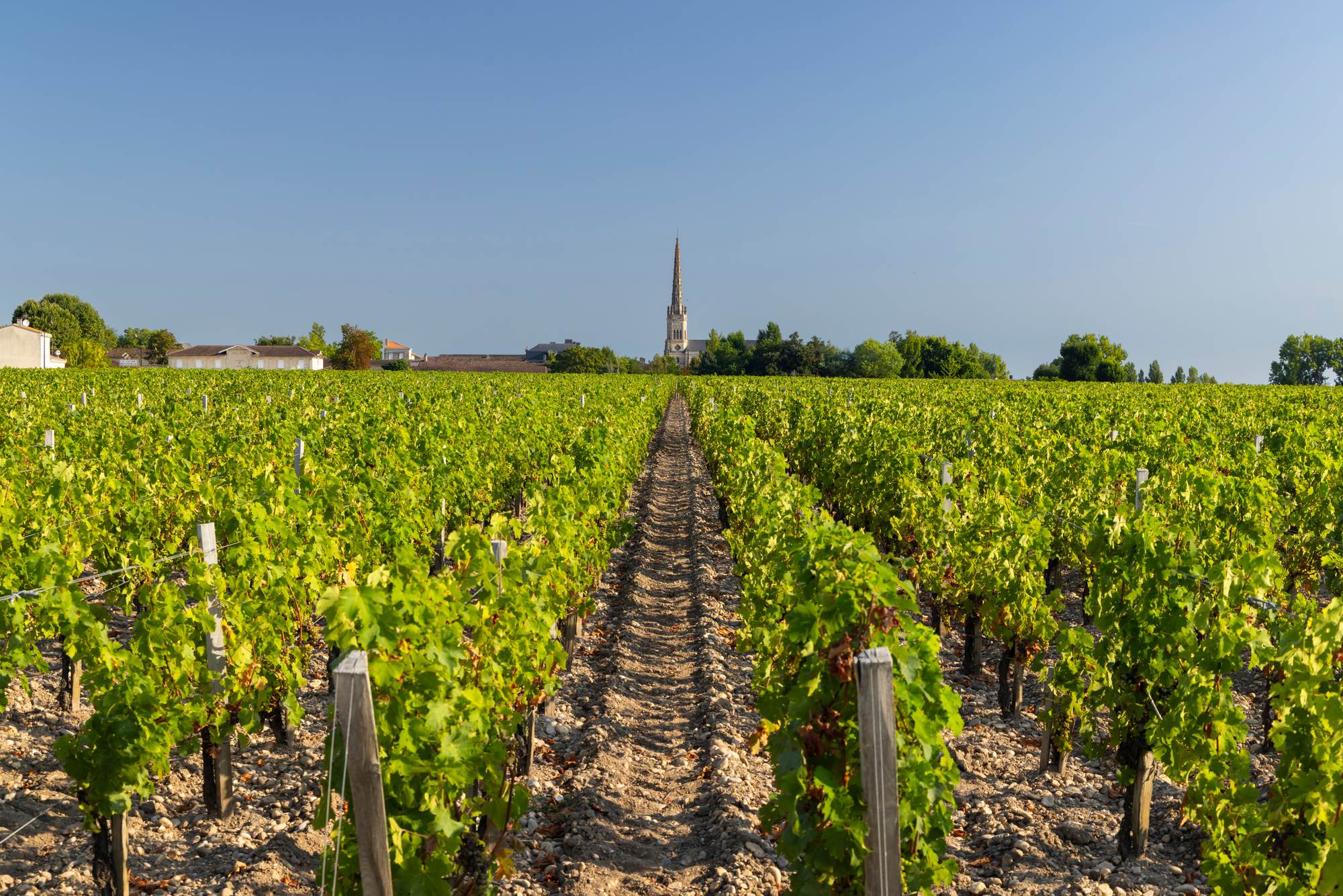 terroir médoc
